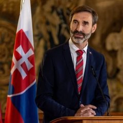 Suspension of electricity supplies from Slovakia