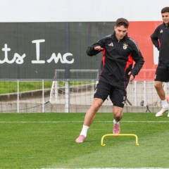Sudakov returns to training at Benfica