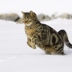 Зимняя погода, антициклон пришел
