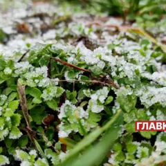 Снег падает во время похолодания
