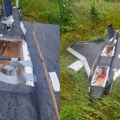 Russian Gerbera during the attack on Ukraine