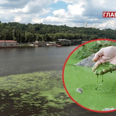 Зеленые реки в Украине
