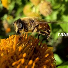 Украина, облачно, без осадков, 22 сентября 2025