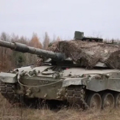Британский танк ошибочно обстрелял другой танк