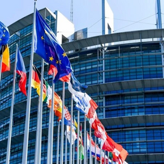 Украинцы за границей обращаются в Европарламент