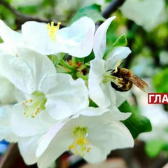 Прогноз погоди на 14 травня