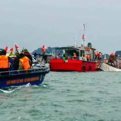 Туристичний човен у Вʼєтнамі