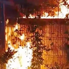 Партизаны «АТЕШ» разрушают связь на заводе