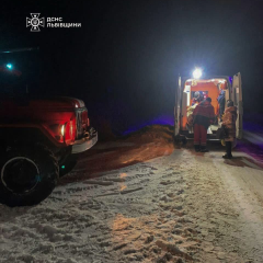 Рятувальники Львівщини несуть 76-річну жінку на ношах