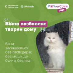 NBU and UAnimals fundraising for animals