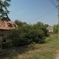 Jackal attacked a woman in the village