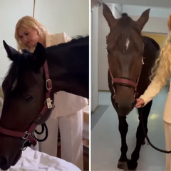 Камалія привела коня в лікарню
