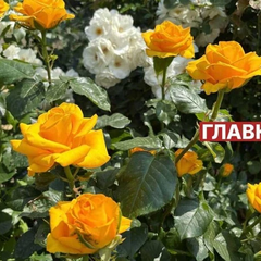 Погода на 11 июня в Украине
