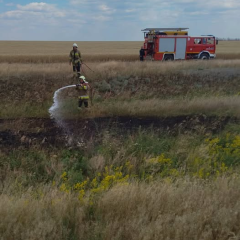 Fires in Ukraine's ecosystems