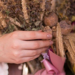 Poppy thieves are no longer banned on Poppyland