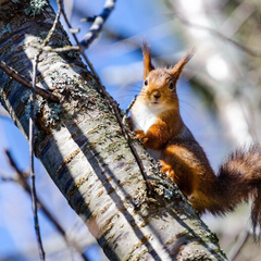 Снег и дожди на украинской земле