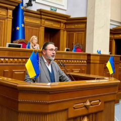Микита Потураєв на засіданні ОБСЄ