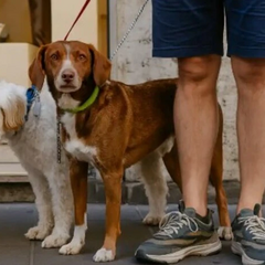Податок для туристів у Італії