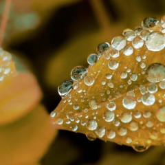 Дощить україна дощ +9° +20°