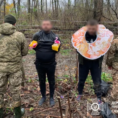 Графік кількості незаконних перетинів кордону