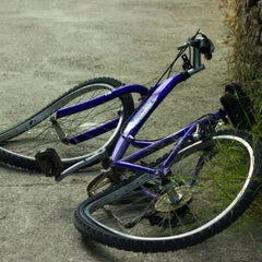 Атака дроном на велосипедиста в Херсонщині