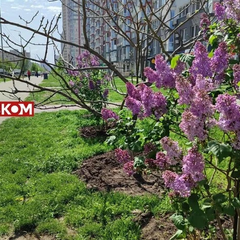 Облака в Украине 27 апреля
