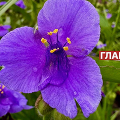 Прогноз погоди на 14 червня