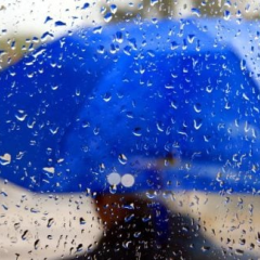 Потепління до +24° 7–8 жовтня в Україні