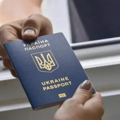 Немецкие политики требуют прекратить выплаты военнообязанным украинцам