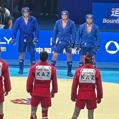 Сборная Украины по самбо выиграла золото