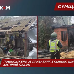 Поранена 8-річна дівчинка від атаки