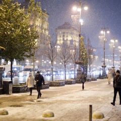 Зимнее фото с лесом и снегом