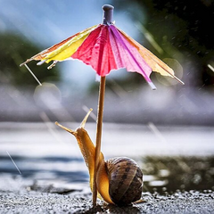 Начинается сезон дождей и морозов