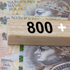 Обов'язкові умови для українців у Польщі