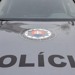 Словаччина депортує українця за державний переворот