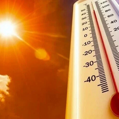 Синоптики прогнозируют пик 43°C