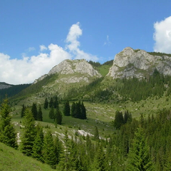 Пошукова операція в румунських горах