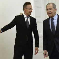 Orban admits defeat in Hungarian elections
