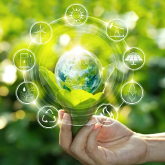 Графік стратегії кліматичної нейтраліності до 2050