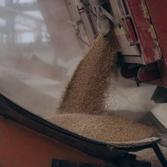 Україна зменшила експорт АПК у вересні