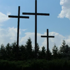 Раскопки в Пужниках: открытые склепы и останки