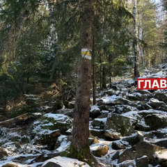 Сніг та заморозки. Негода наближається!