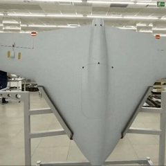 Дрон-камикадзе - новое оружие РФ