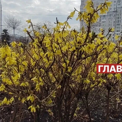 У повітрі хмари з проясненнями