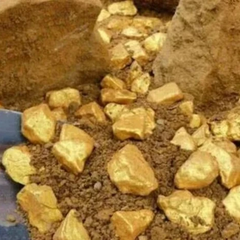 Французский фермер находит золото на участке