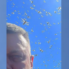 Олег Тягнибок виявив шкідників у Запорізькій області