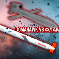 Украинская ракета «Фламинго» показывает преимущество над «Томагавком»