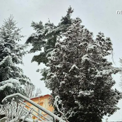 Photo report from Lviv - A Fairytale City