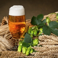 Пусті пляшки без напою на столі