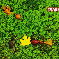 Погода на 2 жовтня 2025